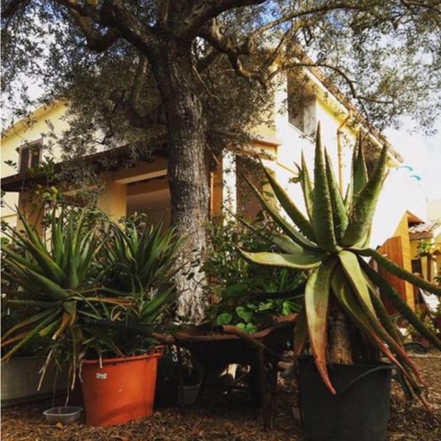 Rio Barca Bed And Breakfast Alghero Exterior photo
